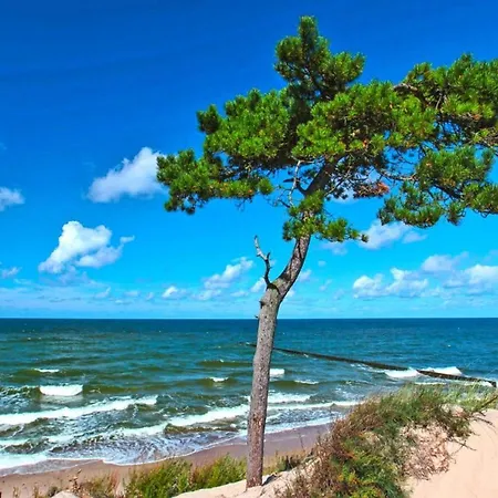 Homes Close To The Seaside فيتشه