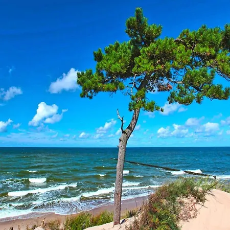 Homes Close To The Seaside